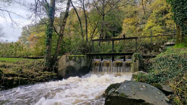 A waterfall flows under a wooden bridge surrounded by trees and greenery.