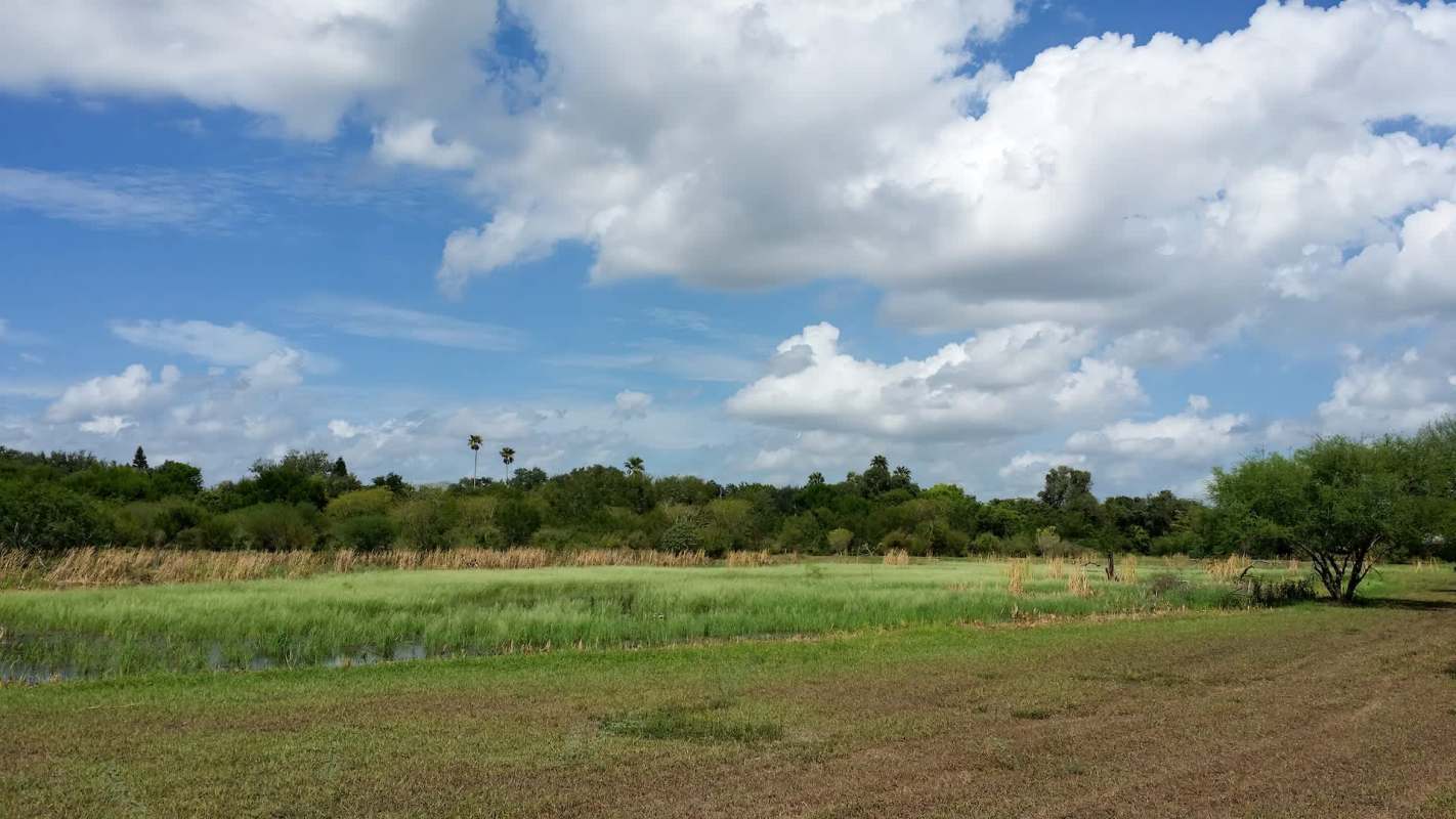 A field.