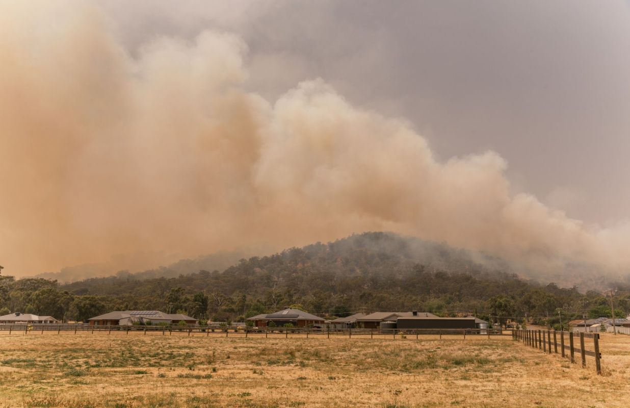 Smoke from a bushfire.