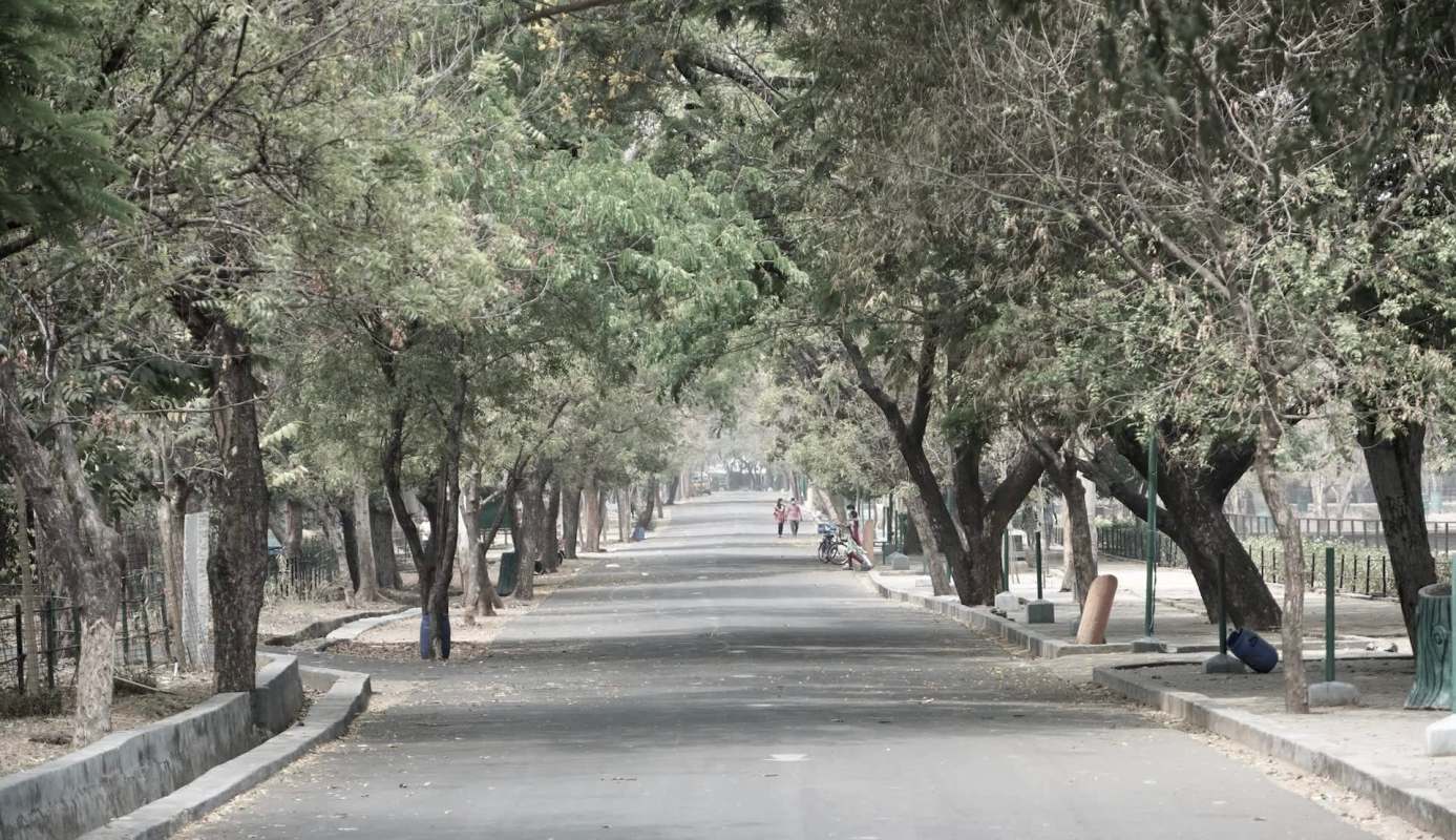 A tree-lined pathway with people walking and bicycles parked along the sides.