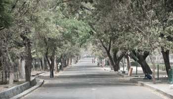 A tree-lined pathway with people walking and bicycles parked along the sides.