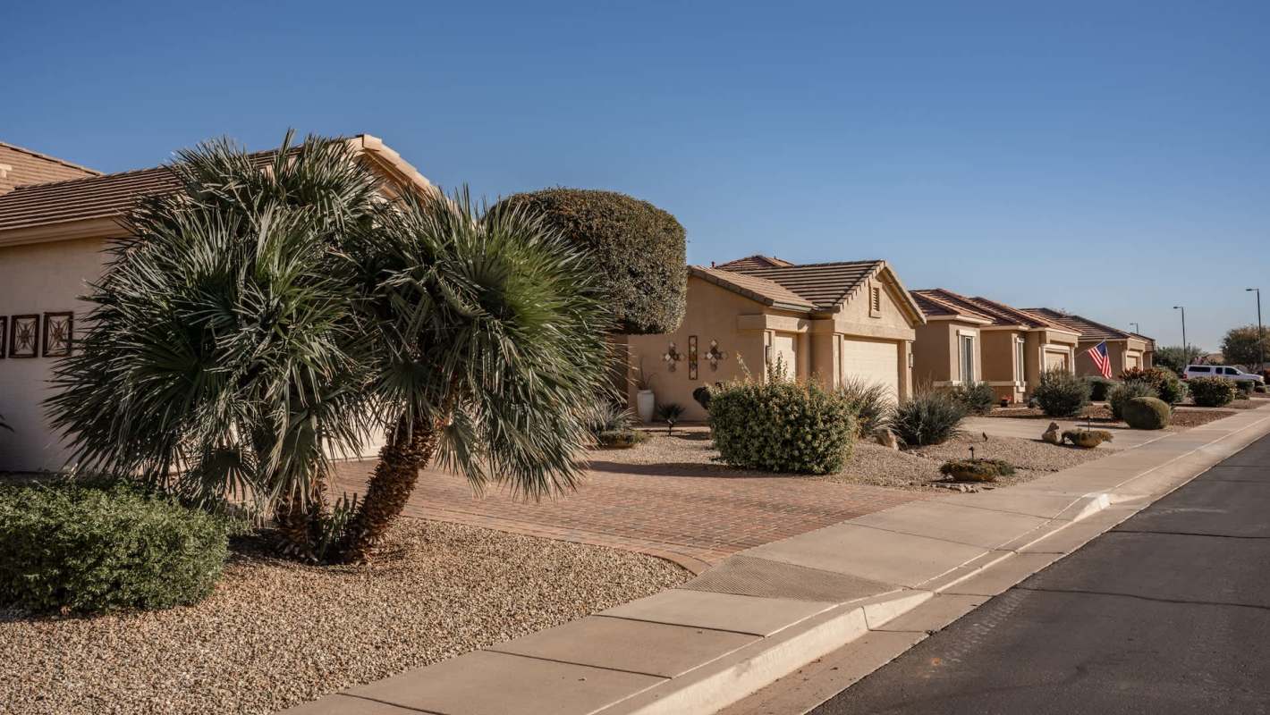 A residential street in Chandler, Arizona, lined with houses, palm trees, and landscaped yards under a clear blue sky.