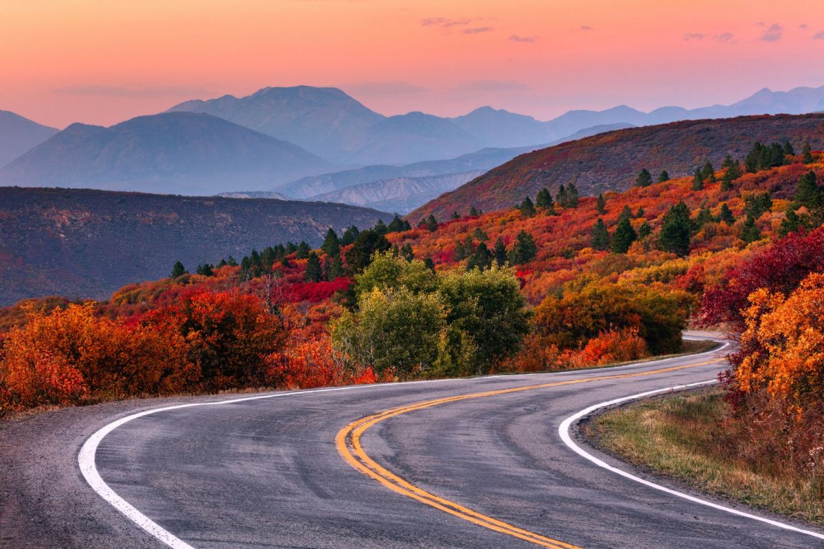 Fall foliage in Colorado.