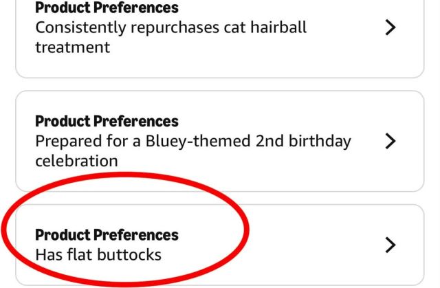 Inferences about a person collected by Amazon's About You AI.