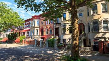 A row of residential buildings with steps and decorative facades along a tree-lined street.