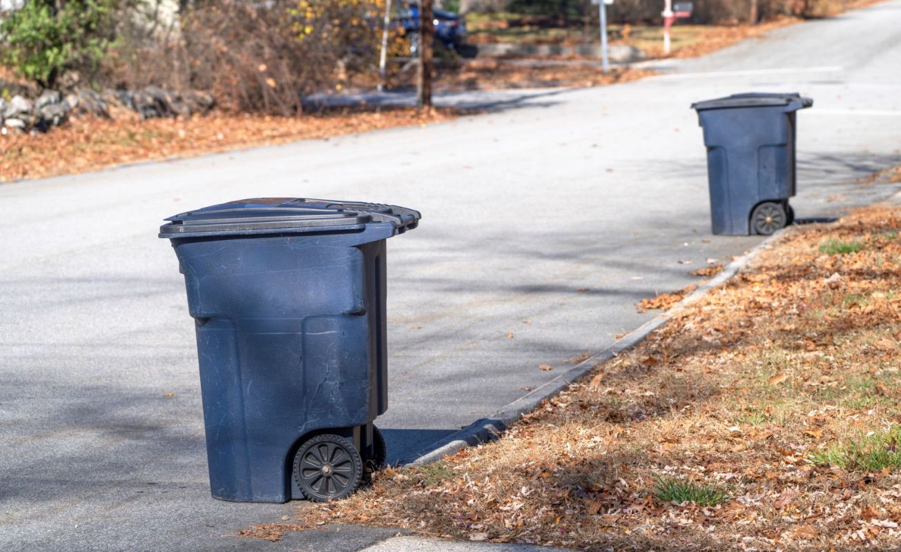Trash bins on a curb.