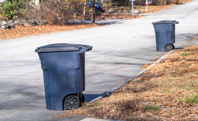 Trash bins on a curb.