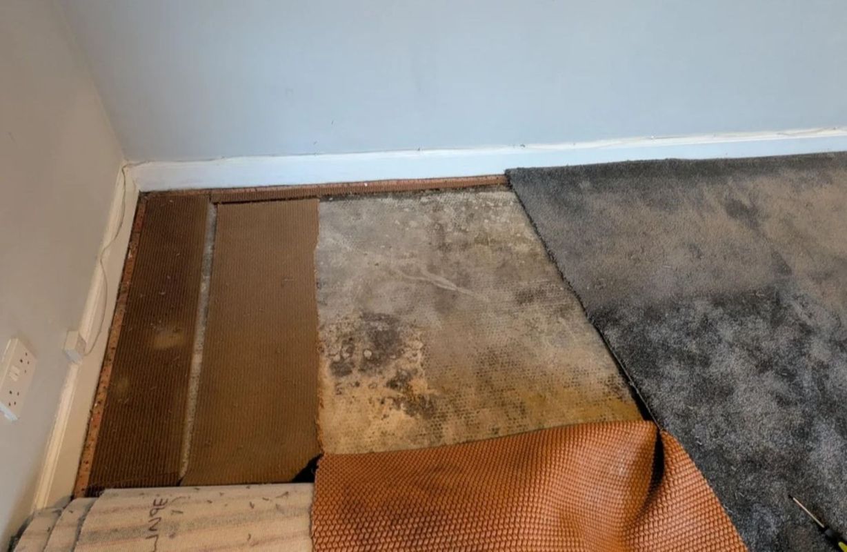 Damp floor under a carpet.