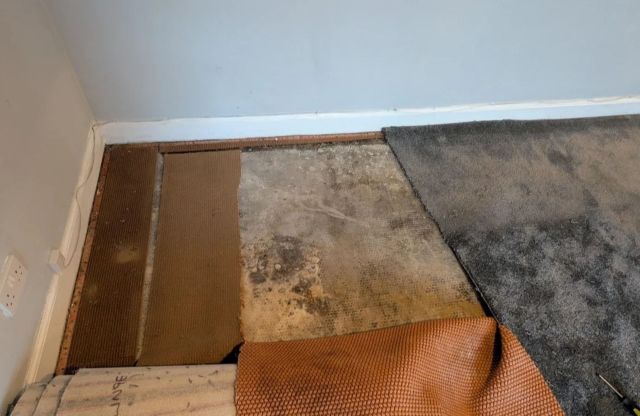 Damp floor under a carpet.