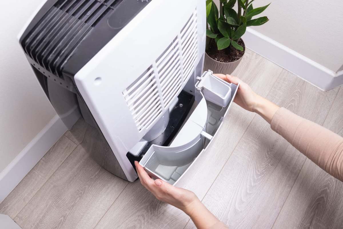 A person removes the water tank from a dehumidifier beside a potted plant.