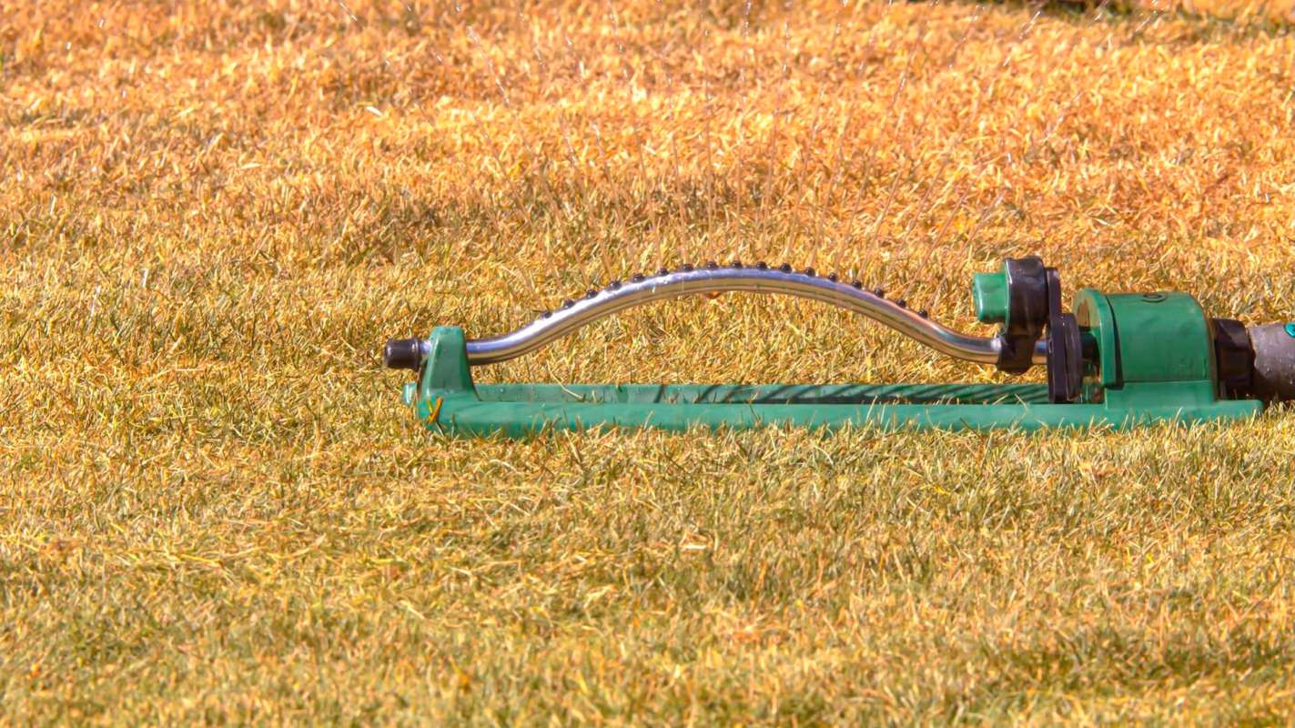 A lawn sprinkler resting on dry, brown grass.