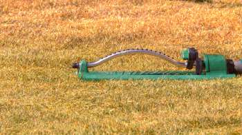 A lawn sprinkler resting on dry, brown grass.