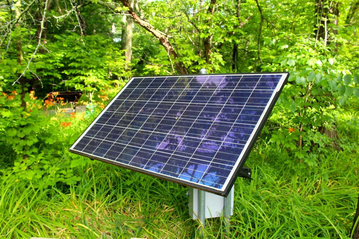 A solar panel positioned amidst greenery and trees.
