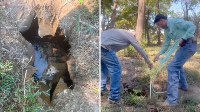 Texas man follows a dog's cries to a concrete hole, and Astro makes it home