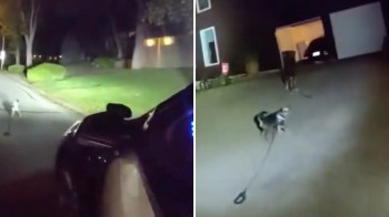A dog off-leash barks at a police officer at night, then it leads them to his house.