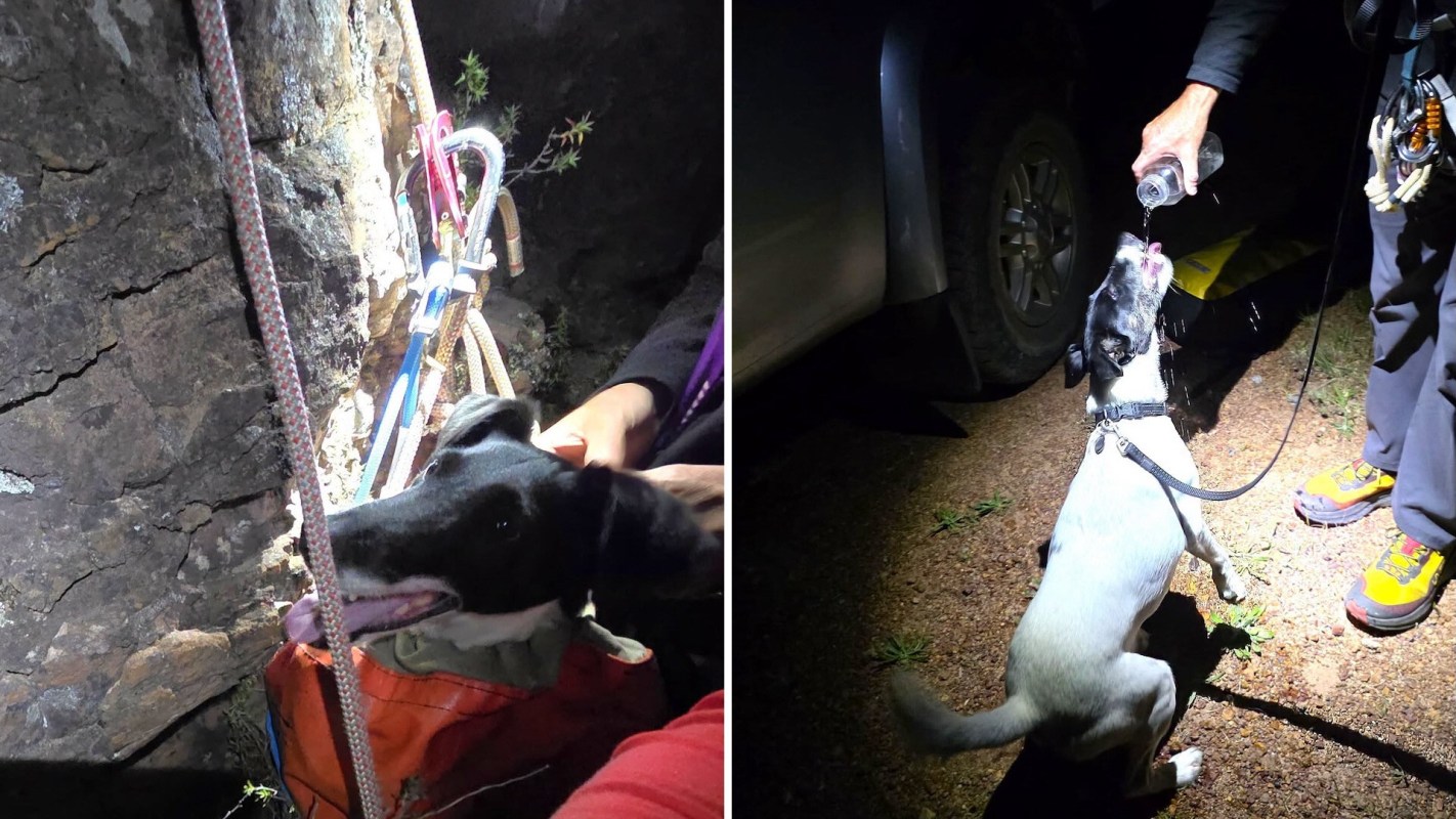 A dog receives water from a person at night near a rocky surface.