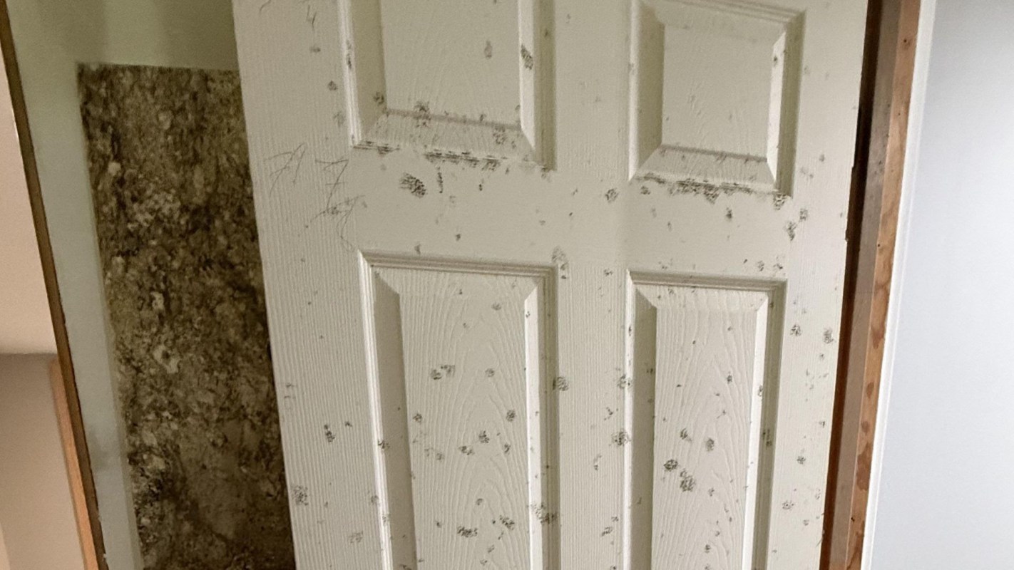 A moldy door.