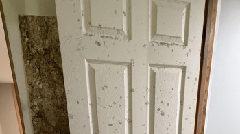 A moldy door.