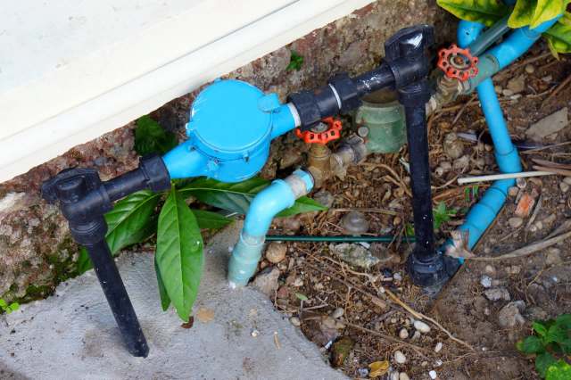 A blue water meter connected to various pipes and valves near a wall and surrounded by plants.