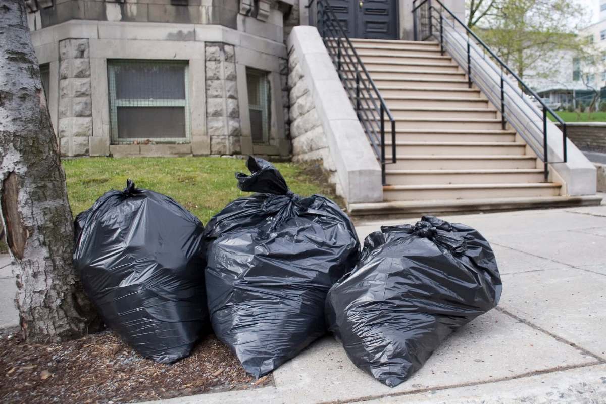 Three large black trash bags are placed next to a tree on a sidewalk near a set of stairs.