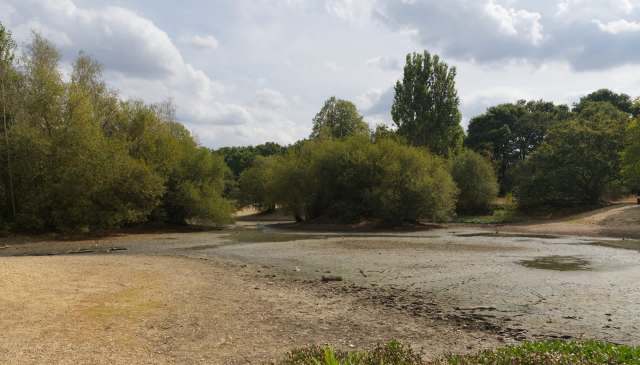 A dry riverbed surrounded by trees and cloudy skies.