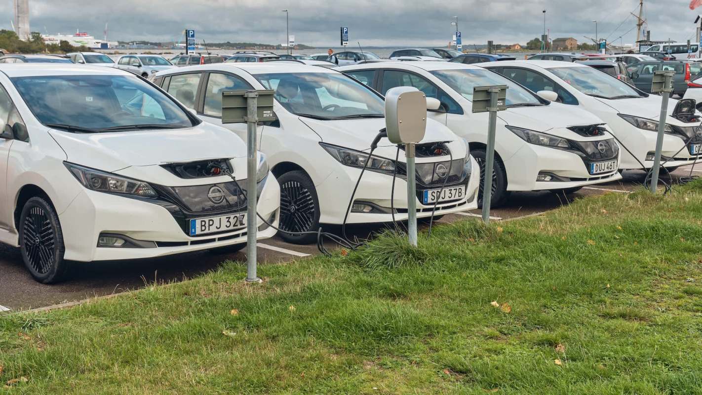 A row of white electric cars parked at charging stations in a parking lot.