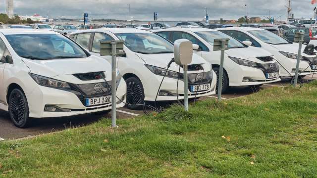 A row of white electric cars parked at charging stations in a parking lot.