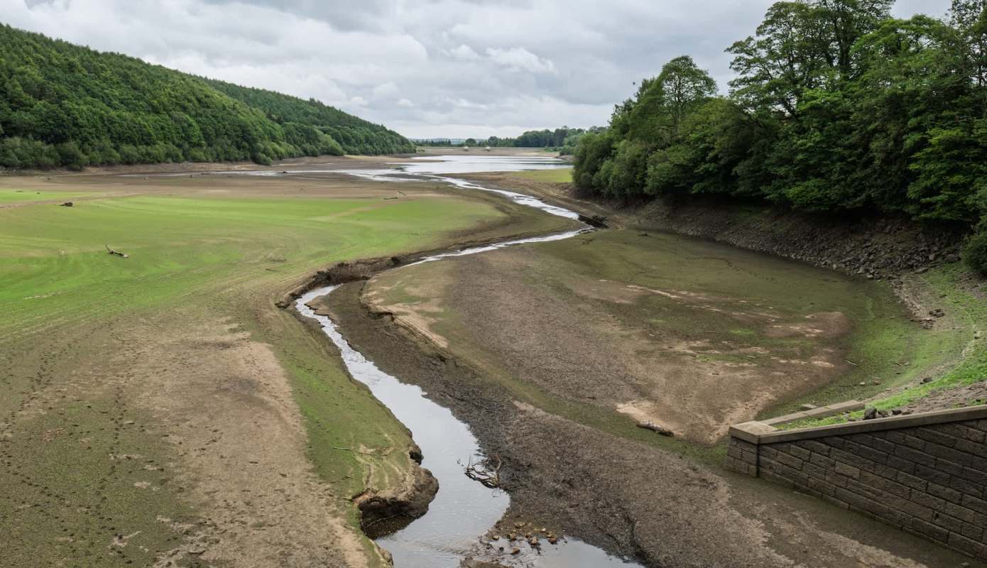 A river with low water levels.