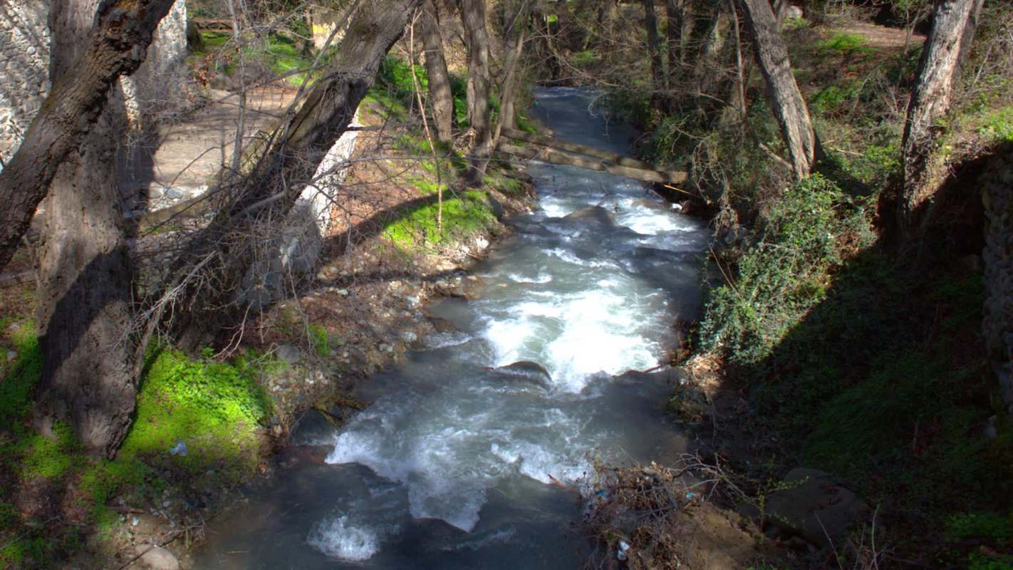 A flowing stream surrounded by trees and greenery.