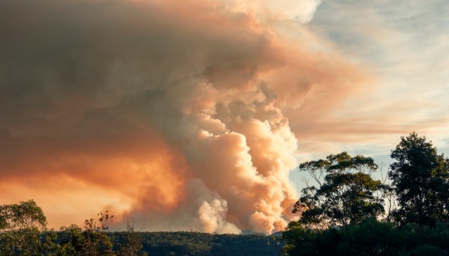 A large plume of smoke rises from a forest, surrounded by trees under a colorful sky.