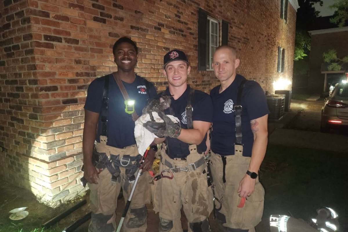 Three firefighters pose together, one holding a small animal wrapped in a towel, against a brick building.