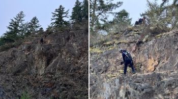 Two individuals navigating a rocky cliffside with trees in the background, with a goat being rescued.