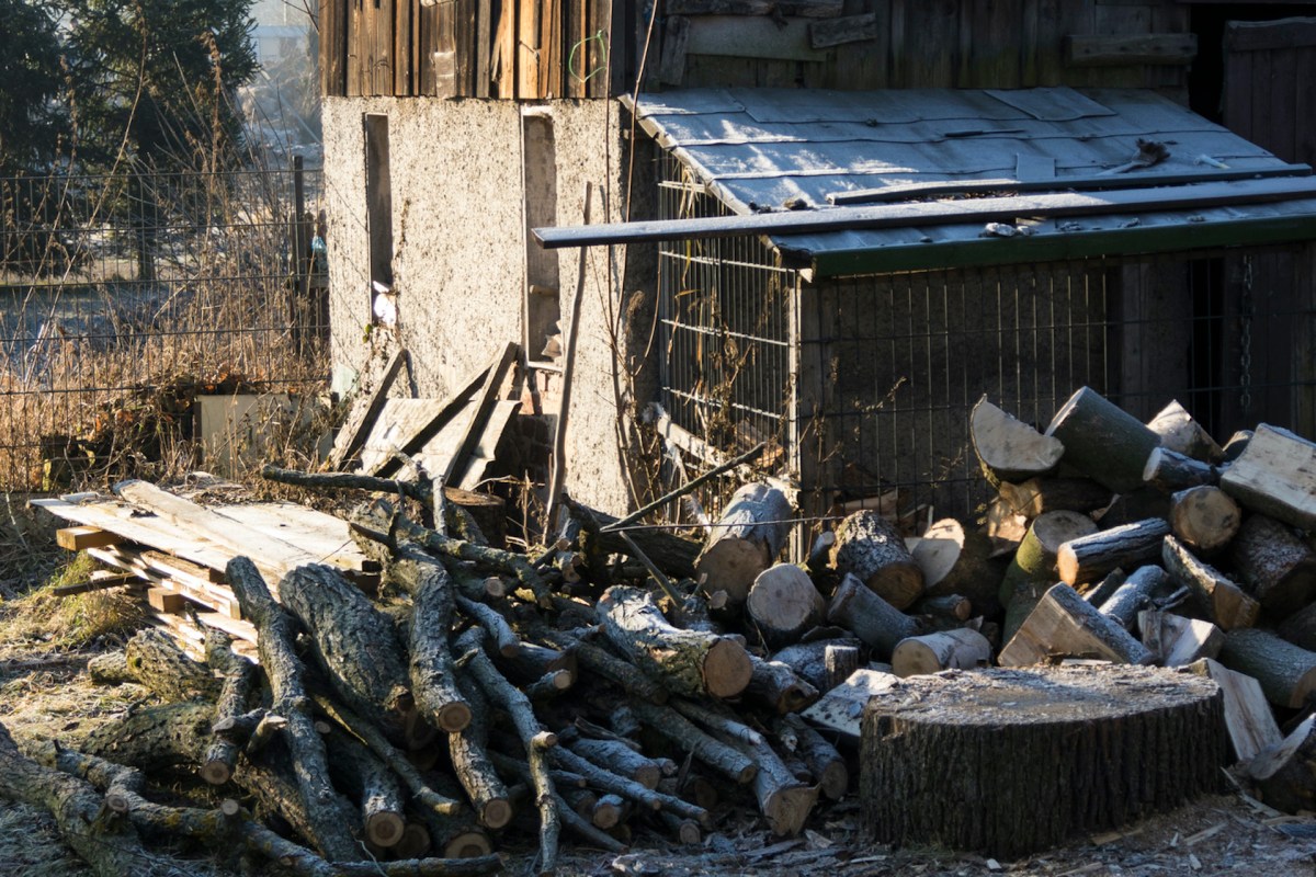 A stack of logs and wooden pallets beside a weathered building with a corrugated roof.
