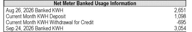 Usage information for a net meter.