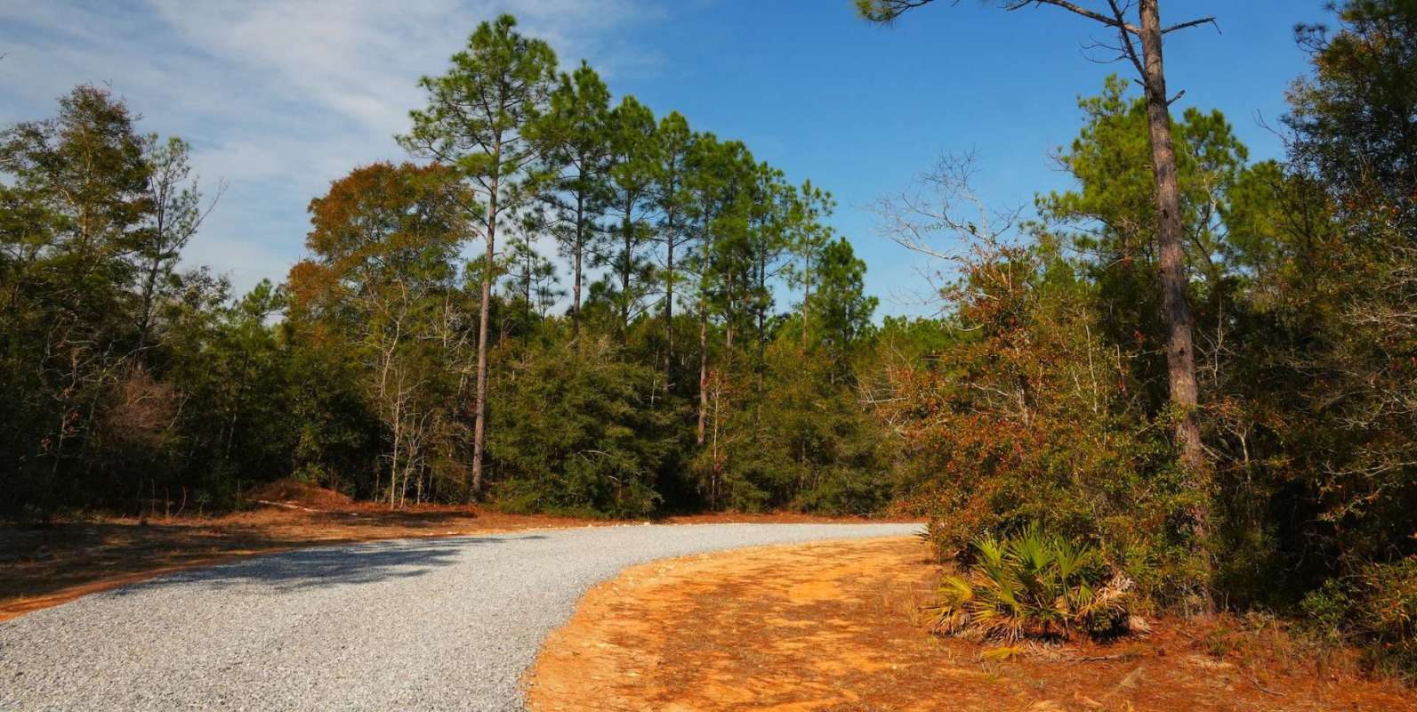 A gravel path curves through a wooded area with various trees.