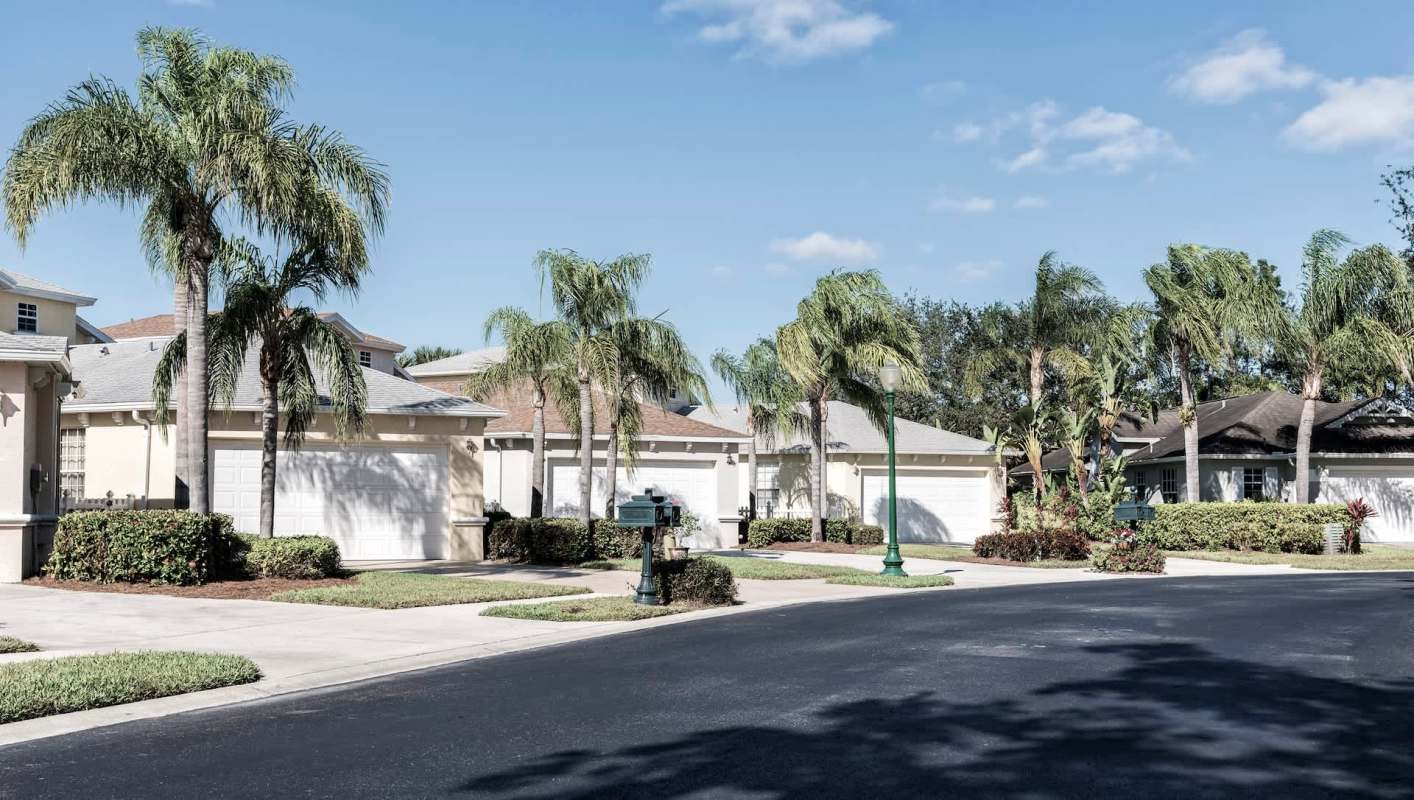 A residential street with palm trees, houses, and a mailbox under a clear blue sky.