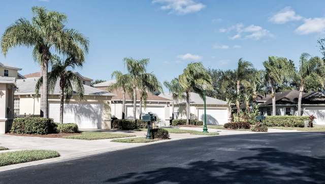 A residential street with palm trees, houses, and a mailbox under a clear blue sky.