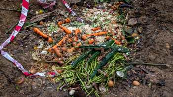 A pile of food waste.