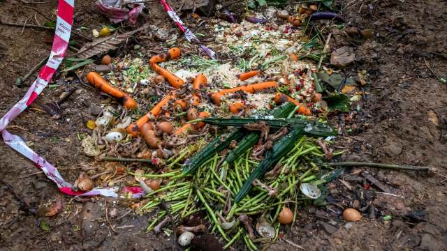 A pile of food waste.