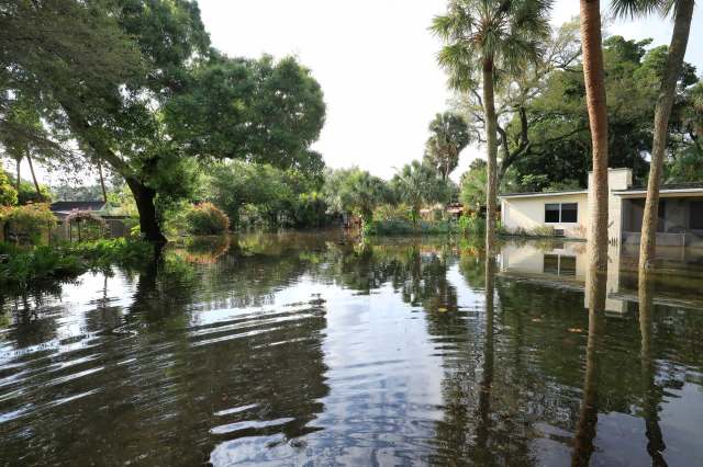 A flooded area with trees and a house partially submerged in water.