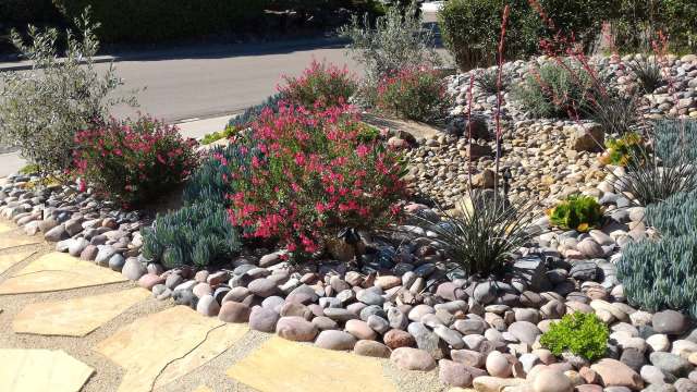 A xeriscaped front yard.
