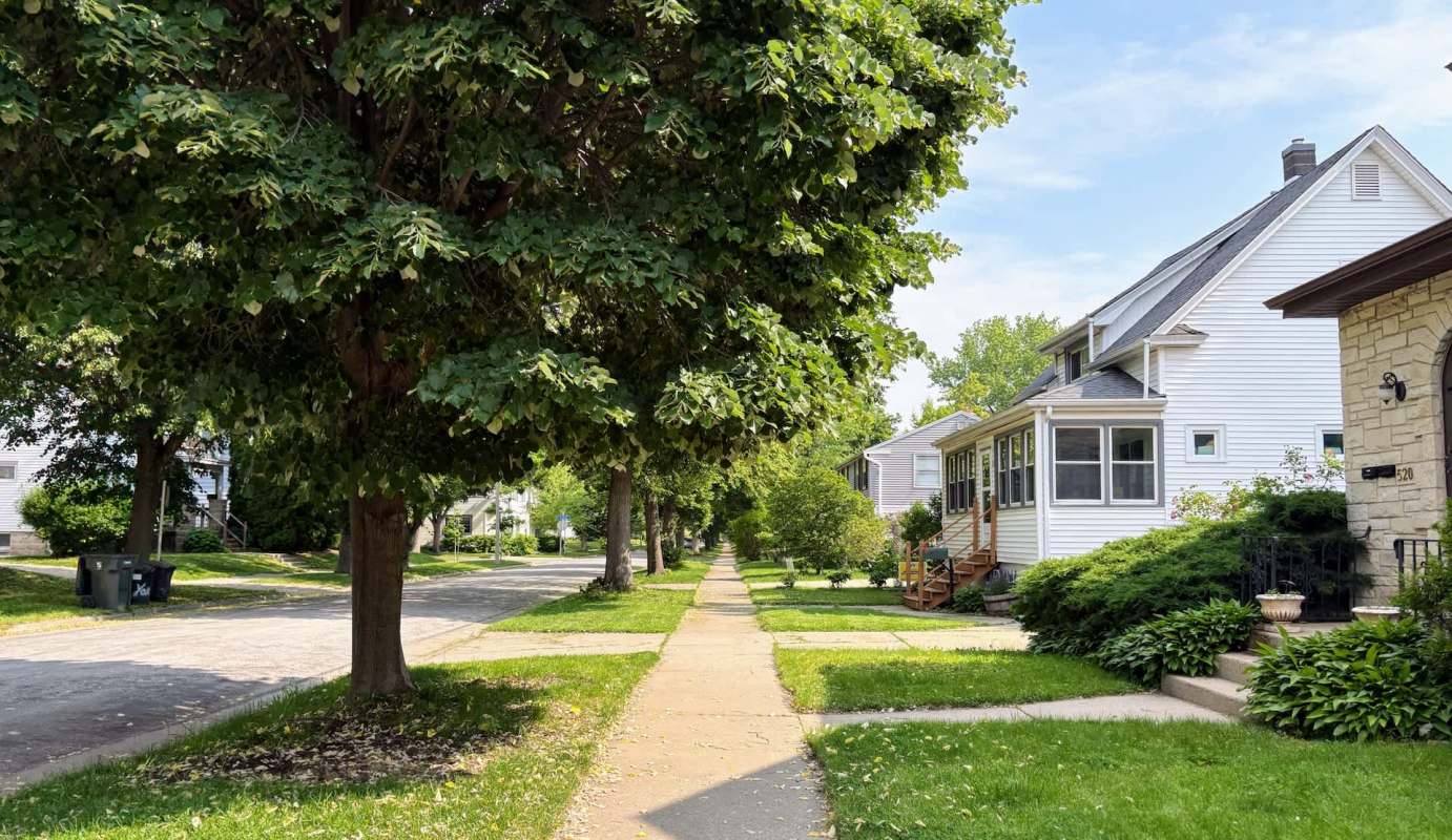A tree-lined street with houses, sidewalks, and green lawns under a clear blue sky.
