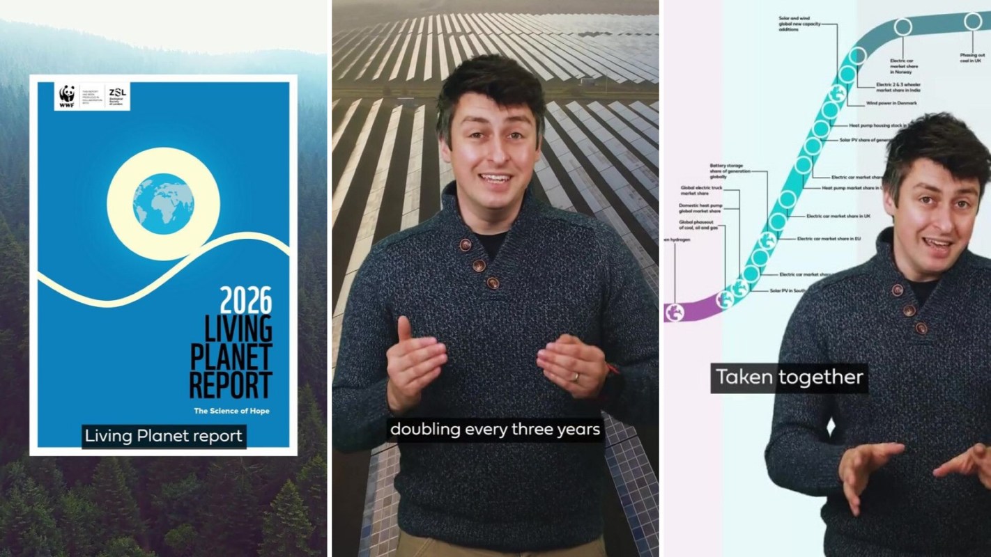 A man discusses the 2026 Living Planet Report with charts and graphs in the background.