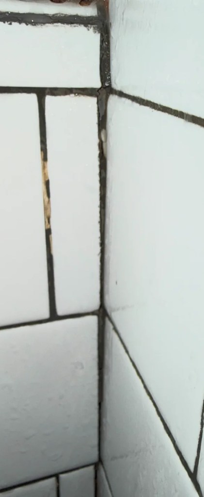 Cracked grout in a shower corner. 