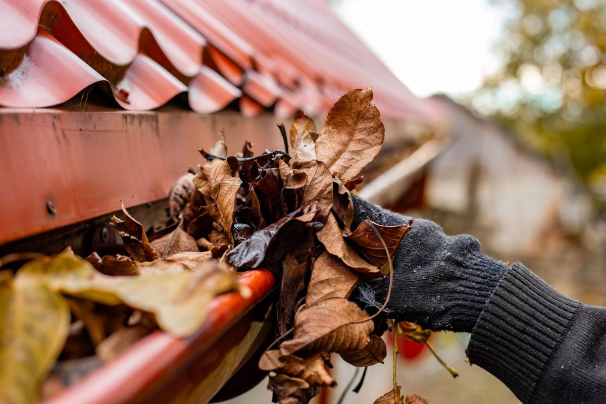 A hand in a black glove removes fallen leaves from a gutter beneath a red roof.