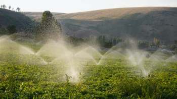 Irrigation sprinklers spraying water over a green field with rolling hills in the background.