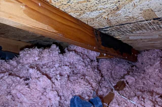 Insulation material fills a space beneath a damp wooden beam, with some debris visible on the ground.