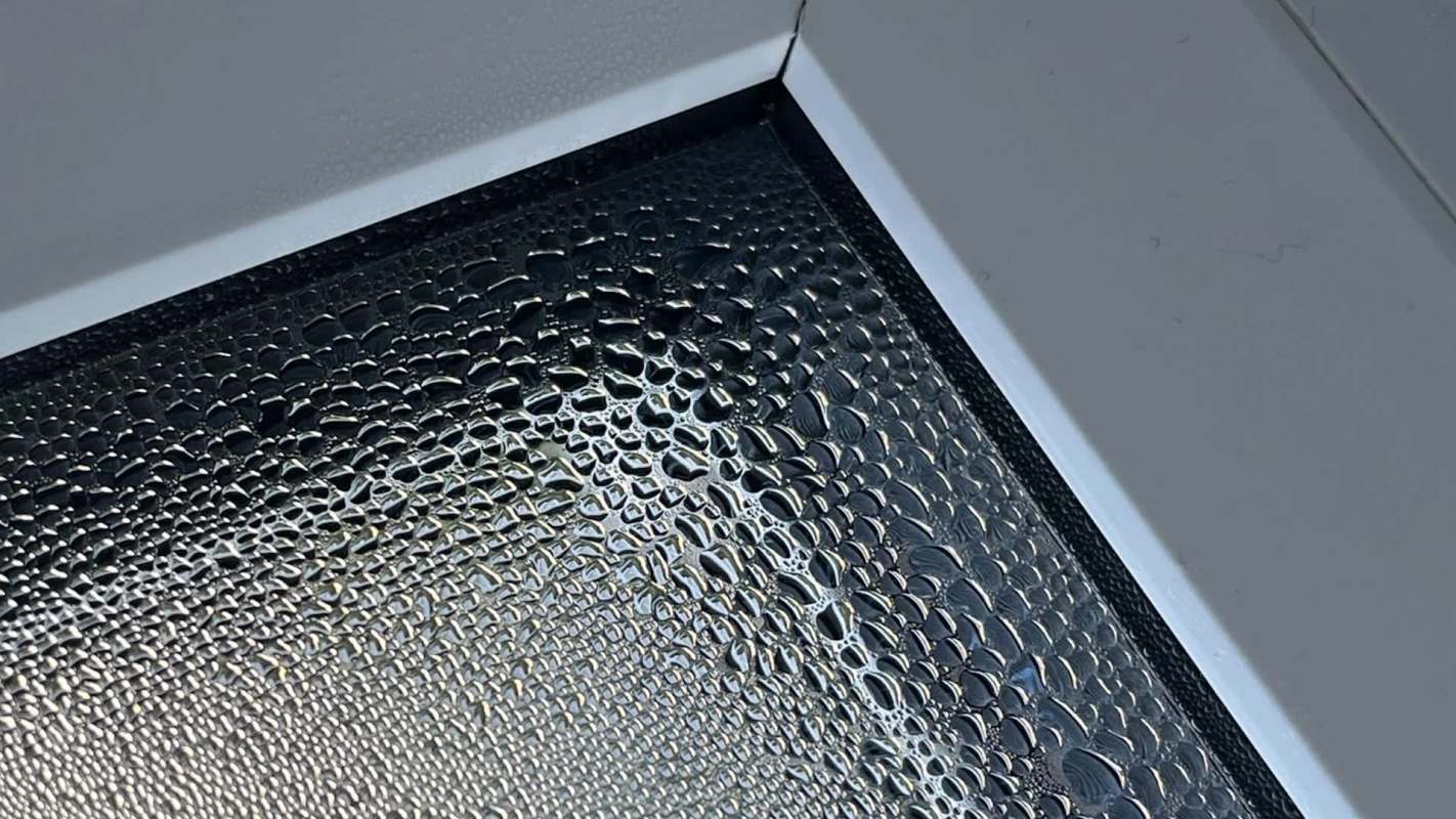 Condensation droplets on a window.