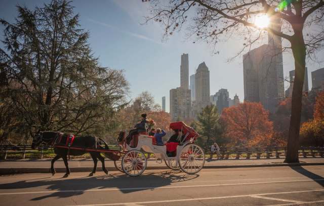 A horse-drawn carriage passes through a park with city skyscrapers in the background.