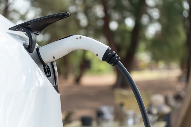 An electric vehicle charging connector plugged into a car in a natural setting.